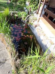 Find this pin and more on garten by wallpaper. Garten Zu Verkaufen In 04552 Borna Fur 500 00 Zum Verkauf Shpock De
