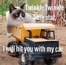 Twinkle Twinkle Little Star I Will Hit You With My Car Push You Off A Roof So High Hope You Break Your Ne Funny Grumpy Cat Memes Funny Cats Funny Cat