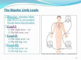 We did not find results for: Cardiovascular System Block The Electrocardiogram Ecg Dr Mona