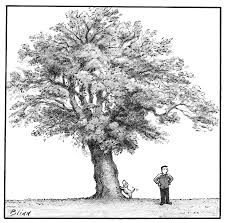 Nathan gray wurde am 15. A College Romance That Led To Murder The New Yorker