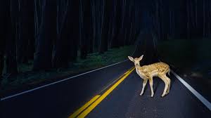 Ask questions about your assignment. When An Employee Quits And You Didn T See It Coming