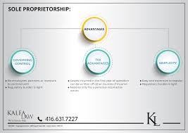 This requires the individual to report all business income or losses on their individual income tax return ( form 540 4 ). Sole Proprietorship Business Organization Kalfa Law