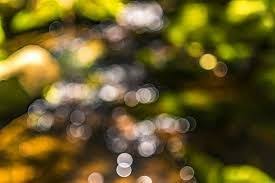 Image Result For Cb Edit Background Hd Blur Blur Background Photography Blurred Background Photography Studio Background Images Any help over it will boost my energy for it. cb edit background hd blur