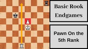 See more of the rook & pawn on facebook. Pawn On The 5th Rank Basic Rook Endgames Youtube
