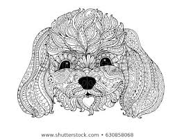 Discover This And Millions Of Other Royalty Free Stock Photos Illustrations And Vectors In The Shutterstock C Dog Coloring Page Poodle Drawing Coloring Books