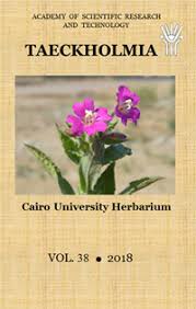 Image result for Vossia cuspidata