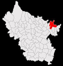 „a fost sesizat anaf cu privire la campania pnl de la parlamentarele din 2016. Comuna PuieÈti BuzÄu Wikipedia