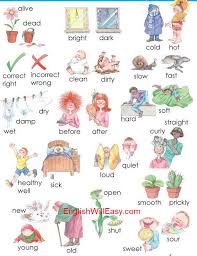 Pin On English Vocabulary