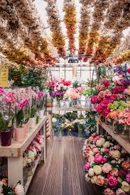 Pin By Anson Madison On Happiness In 2021 Floating Flowers Pretty Flowers Beautiful Flowers