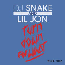 It's the billion dollar remix. Turn Down For What Pitbull Ludacris Remix Lyrics By Dj Snake Lil Jon