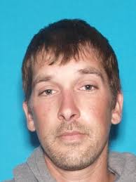 Who's Gone Missing in the Emerald Counties?