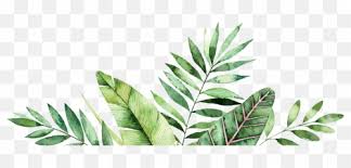 Discover 98 free palm leaves png images with transparent backgrounds. Free Transparent Palm Tree Leaf Png Images Page 1 Pngaaa Com