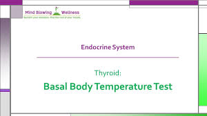 Basal Body Temperature Test Of The Thyroid Youtube