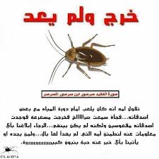 صورة الفقيد صرصور ابن صرصور المصرصر Nol Funny Movie Posters