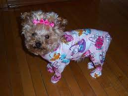 Mindee In Her Footy Pajamas Pijamas Para Perros Ropa Para Perros Accesorios Para Mascotas