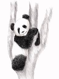 Panda drawing at getdrawings com free for personal use. Panda Drawing Easy Realistic Novocom Top