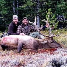 2022_Online Course Sales Page