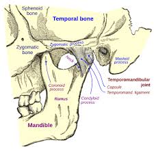 temporomandibular joint dysfunction wikipedia