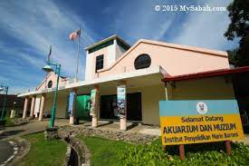 Worldwide aquariums & marine life centers. Underwater World Of Aquarium Marine Museum At University Malaysia Sabah Ums Mysabah Com