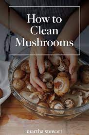 The Magic Of Mushrooms Stuffed Mushrooms How To Clean Mushrooms Recipes