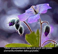 Oluler Yasayanlardan Daha Cok Cicek Alir Cunku Pismanlik Minnetten Daha Gucludur Cicek Mor Cicekler Leylak