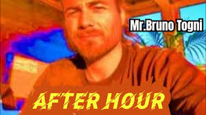 Mr.Bruno Togni