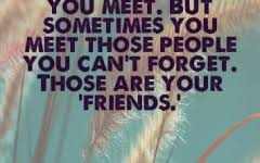 Short Quotes