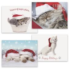 This boxed set consists of 10 sets of 2 cards with whimsical black cats in different poses. Box Of 16 8 X 6 Assorted Cat Christmas Cards Wilford Lee Home Accents