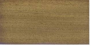 Image result for Lovoa swynnertonii