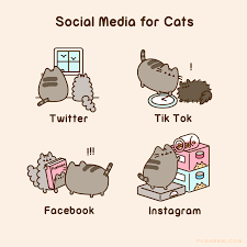 Pusheen Social Media For Cats Pusheen Pusheen Cute Pusheen Cat Pusheen