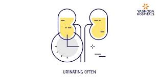 In this article, learn about the symptoms, risk factors, treatment options, and outlook for this type of cancer. Bladder Cancer Symptoms Pain During Urination Causes Diagnosis And Treatment