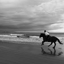 Two Feet Move Your Body Four Feet Move Your Soul Two Feet Move Your Body Four Feet Move Your Soul Anon Womenwhohike Horse Horseriding Northumberland Beac In 2020 Hiking Photography Scenic The Great Outdoors