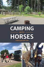 Camping With Horses Best Campgrounds With Corrals And Packing Tips In 2021 Horse Camp Horses Best Campgrounds