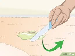 Then, wet the sponge with undiluted rubbing alcohol and carefully blot the stain. How To Get Dried Slime Out Of Carpet 9 Steps With Pictures
