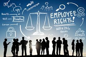 Federal constitution (malaysia judicial appointments commission) pdf incorporating all amendments up to november 2010. 13 Laws That Every Hr Should Know In India To Be The Best At Their Game