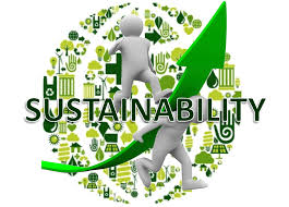 Image result for sustainability