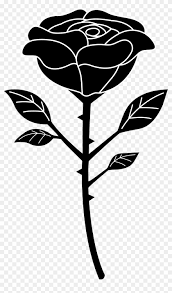 Polish your personal project or design with these rose silhouette transparent png images, make it even more personalized and more attractive. Black Rose Chefs Black And White Rose Vector Png Transparent Png 652x1080 71879 Pngfind