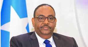 Puntland leader appoints more cabinet members