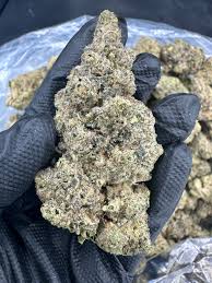 Forum Cookie Thca Flower