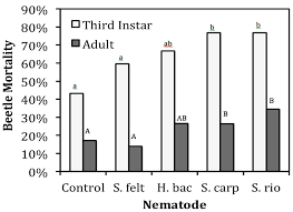 One of my favorite beneficial predators, dalotia coriaria. Insects Free Full Text Susceptibility Of Dalotia Coriaria Kraatz Coleoptera Staphylinidae To Entomopathogenic Nematodes Rhabditida Heterorhabditidae And Steinernematidae Html