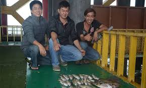 Fishing while enjoying the natural beauty. Padang Pancing Retro Kelong Paradise Sabak Bernam Umpan