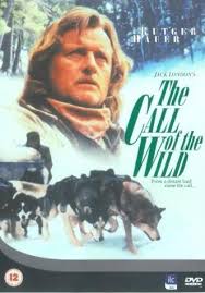 #hungary #magyarul #teljes #magyar #film #videa #2019 #mafab #mozi #indavideo. The Call Of The Wild Dog Of The Yukon Tv Movie 1997 Imdb