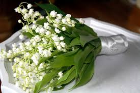 One downside is that they have a short vase life, so they must be stored in a cool environment with an abundance of water. Small White Wedding Flowers Off 77 Buy