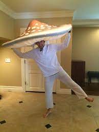 The Hat Is Complete Mushroom Hat Stuffed Mushrooms Mushroom Costume