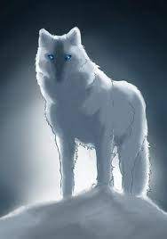 Photographer ronan donovan has finally gained the trust of the white wolves and is able to observe their lives up close. White Wolf Anime By Animegraywolf On Deviantart