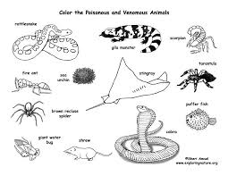 Learn More About Poisonous And Venomous Animals On Exploringnature Org Venomous Animals Desert Animals Reading Levels