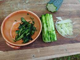 What is san pedro cactus? Diy Mescaline How To Explore San Pedro Without A Guide By Jerry Toth Medium