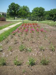 Check spelling or type a new query. Friends Of Boerner Botanical Gardens Fbbg Profile Pinterest