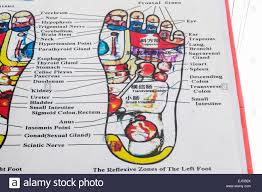 Cambodia Siem Reap Foot Reflexology Chart Stock Photo