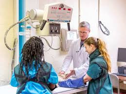 Vomiting is when your dog forcefully ejects the contents of the stomach or the upper intestine. Xuotff4z7xt92m